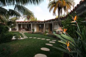 Read more about the article Our office may be closed, but I’m still working – Newsletter – April 2020